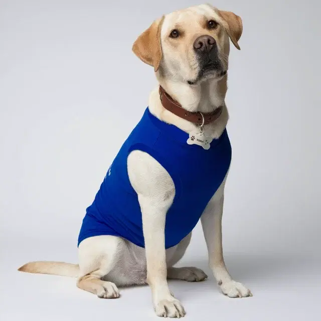 Dog T-Shirts